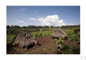 Coffee plantation, Tanzania.