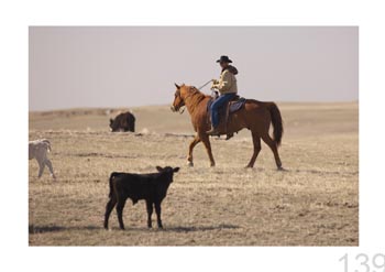 Wyoming, USA.