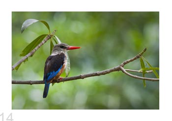 Lake Manyara Natl. Park, Tanzania.