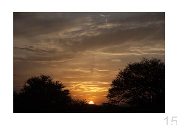 Serengeti Natl. Park, Tanzania.