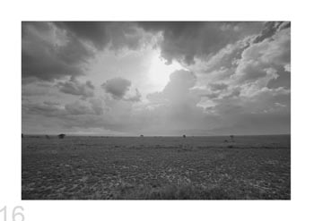 Serengeti Natl. Park, Tanzania.