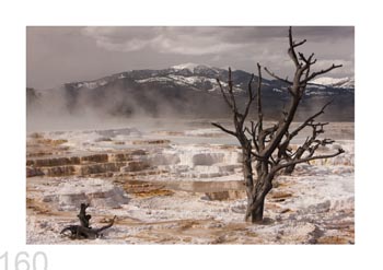 Yellowstone Natl. Park, USA.