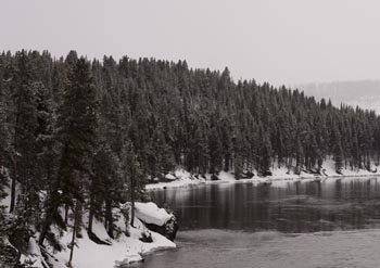 Yellowstone Natl. Park, USA.