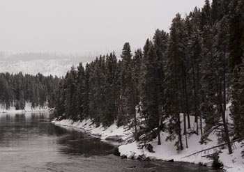 Yellowstone Natl. Park, USA.