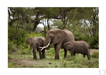 Lake Manyara Natl. Park, Tanzania.