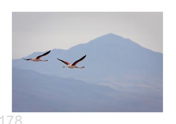 Atacama Desert, Chile.