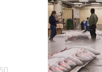 Tsukiji fish market, Tokyo, Japan.