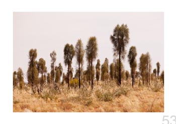 Outback, Northern Territory.