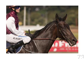 Randwick Racecourse, Sydney, New South Wales.